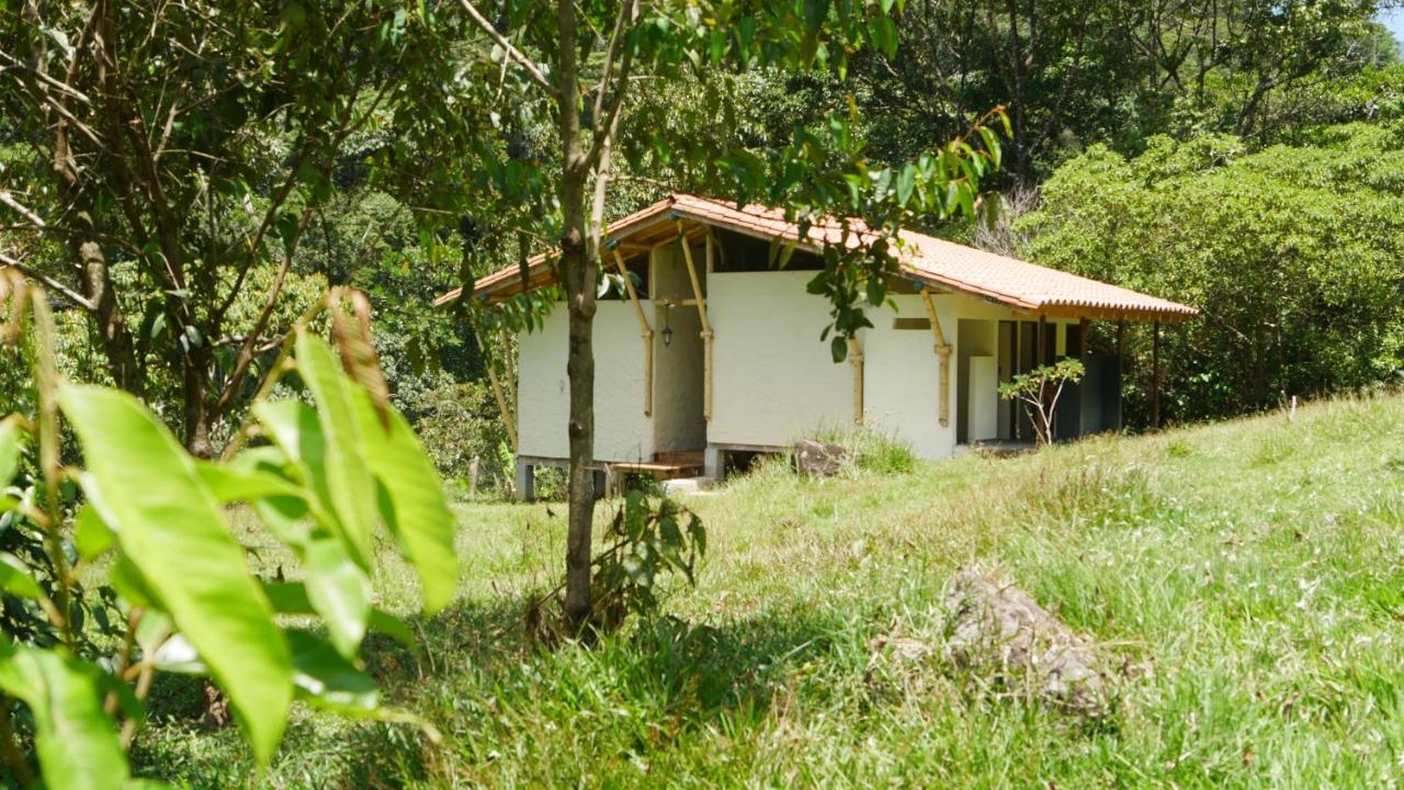 La Perla Negra - Black Pearl Eco Hostel Сан-Рафаэль Экстерьер фото