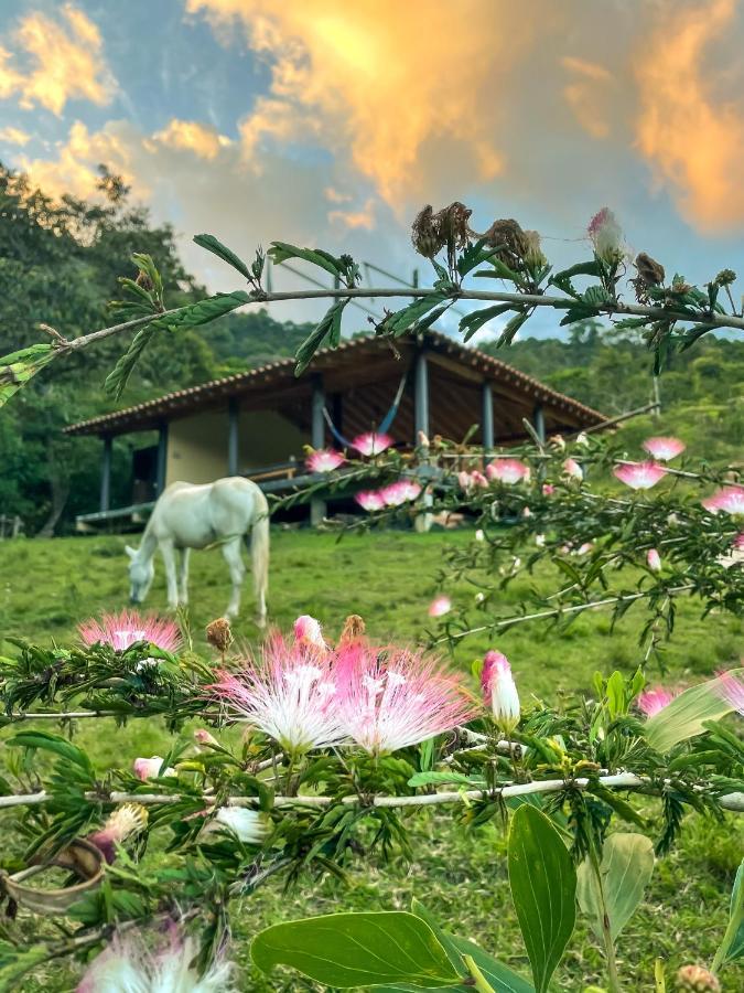 La Perla Negra - Black Pearl Eco Hostel Сан-Рафаэль Экстерьер фото