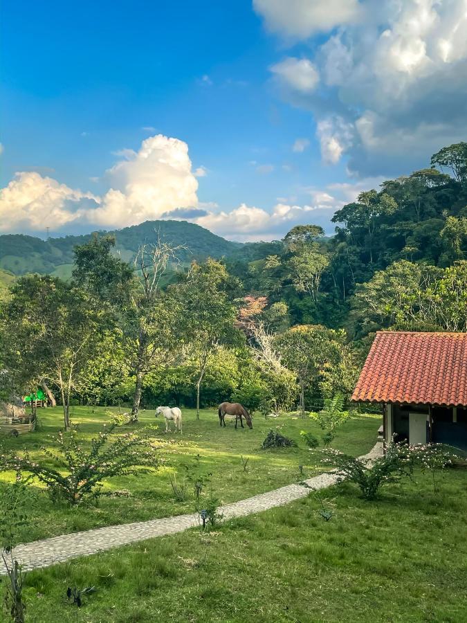 La Perla Negra - Black Pearl Eco Hostel Сан-Рафаэль Экстерьер фото