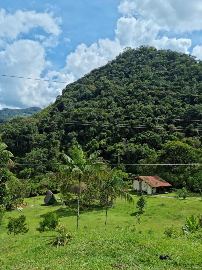 La Perla Negra - Black Pearl Eco Hostel Сан-Рафаэль Экстерьер фото