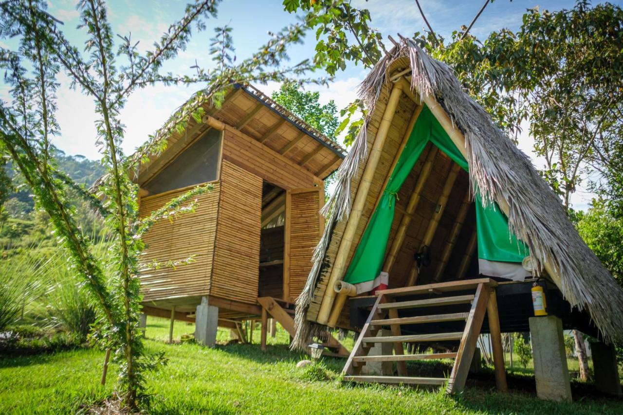 La Perla Negra - Black Pearl Eco Hostel Сан-Рафаэль Экстерьер фото