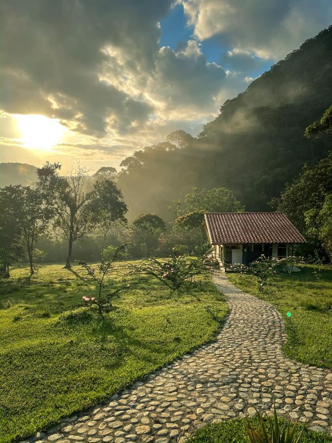 La Perla Negra - Black Pearl Eco Hostel Сан-Рафаэль Экстерьер фото