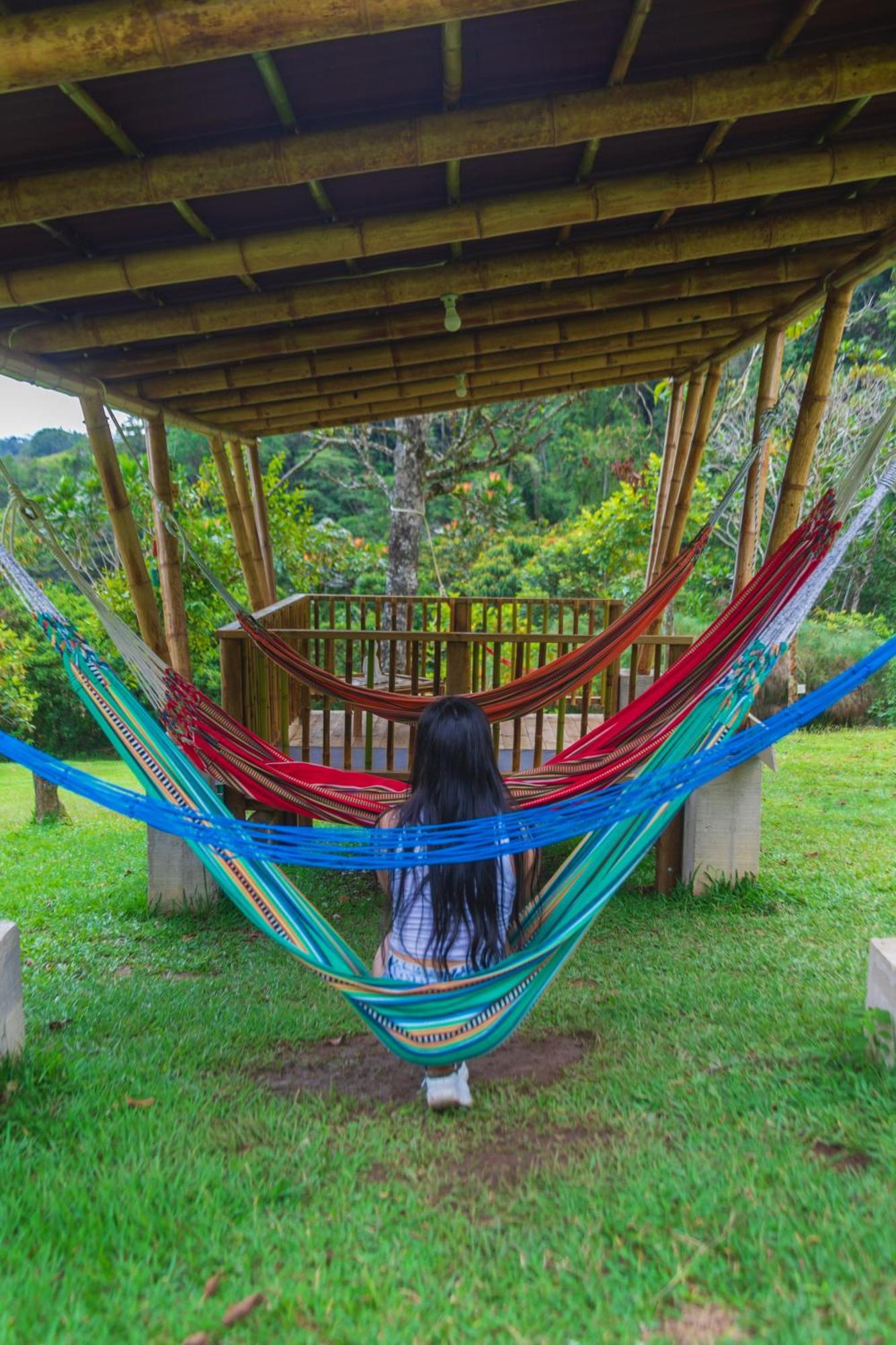 La Perla Negra - Black Pearl Eco Hostel Сан-Рафаэль Экстерьер фото