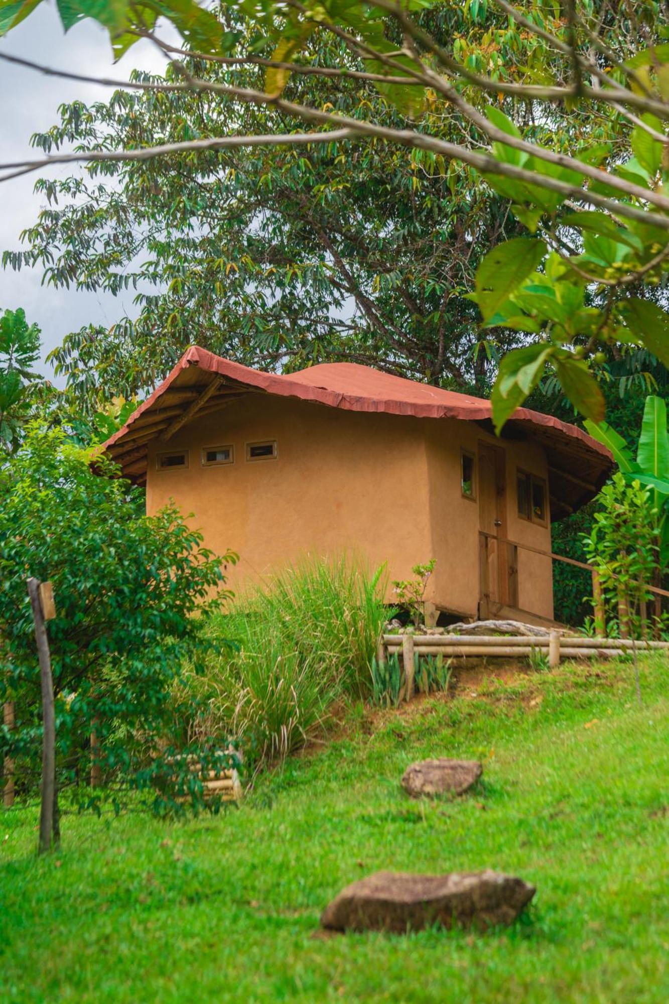 La Perla Negra - Black Pearl Eco Hostel Сан-Рафаэль Экстерьер фото